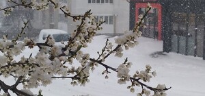 Посевной календарь на февраль 2026: благоприятные и неблагоприятные дни